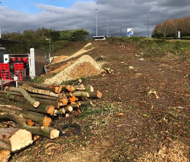 Tree Site Clearance at Fazakerley