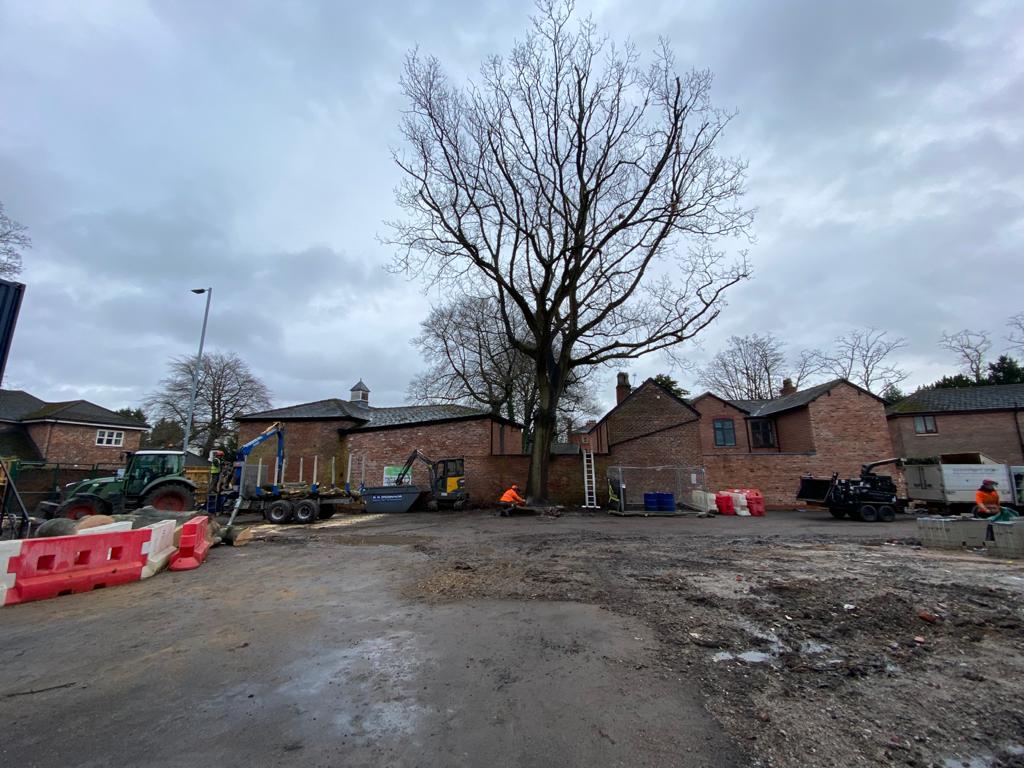 Site Clearance Tree Clearance Didsbury Manchester