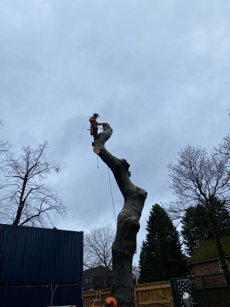 Site Clearance Tree Clearance Didsbury Manchester