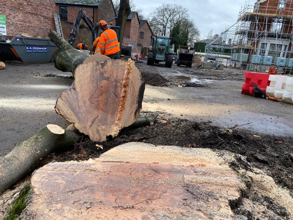 Site Clearance Tree Clearance Didsbury Manchester